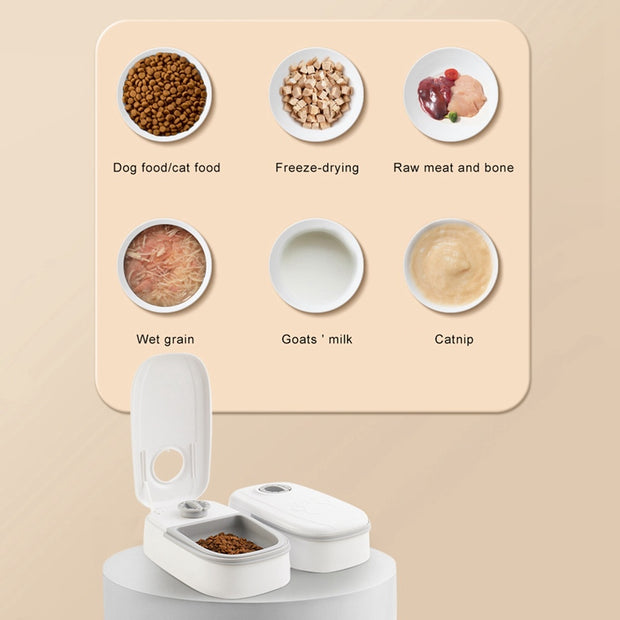 Smart Food Dispenser with Timer and Stainless Bowl