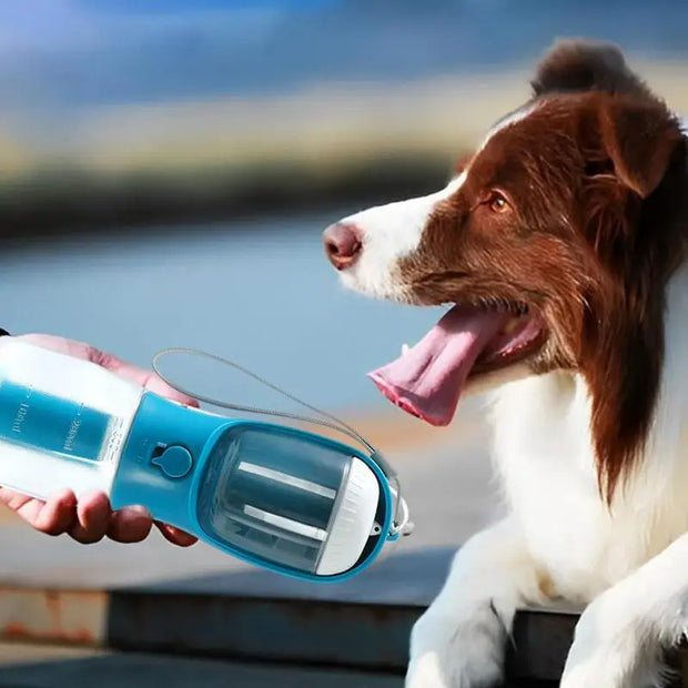 3-in-1 Dog Water Food Cup