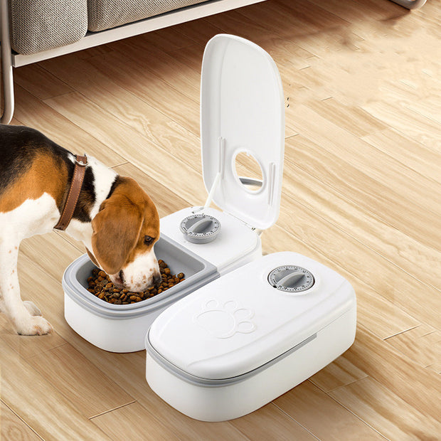 Smart Food Dispenser with Timer and Stainless Bowl